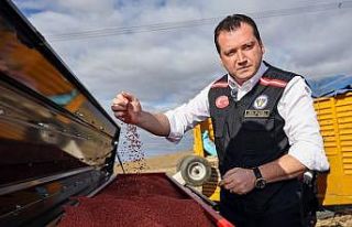 Silivri Belediyesi 360 dekarlık arazide buğday ekimi...