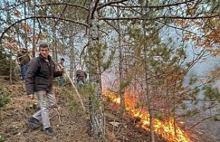 Simav ve Hisarcık’ta orman yangınları