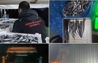 Sinop’ta 10 ton hamsiye el konuldu