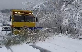 Sinop’ta kar nedeniyle taşımalı eğitime ara...
