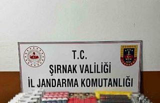 Şırnak’ta 11 şüpheliye işlem yapıldı