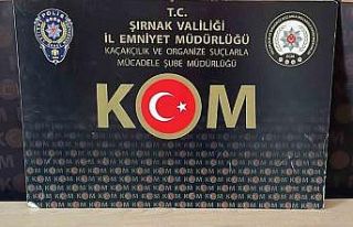 Şırnak’ta kaçakçılık ve asayiş operasyonlarında...