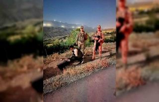 Şırnak’ta kızıl akbaba doğal yaşam alanına...