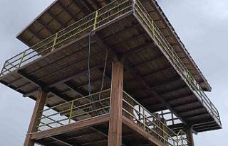 Tabiat parkına gelenler şoke oldu: Kendisini gözetleme...