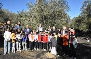 Tarladan sofraya zeytinyağının hikayesi çocuklara...