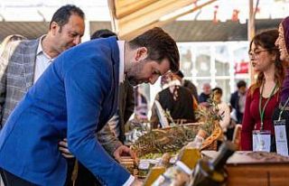 Tarsus’ta ’1. Sarıulak Zeytin Şenliği’ yapıldı