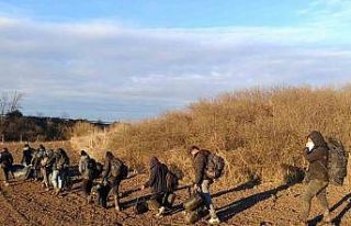 Tekirdağ’da 12 kaçak göçmen, 1 organizatör...