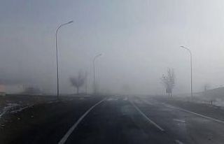 Tekman’da sis etkili oluyor