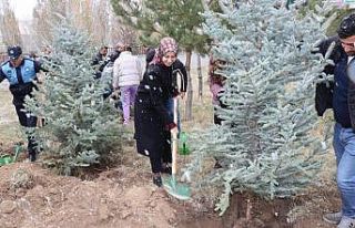 Tercan’da geleceğe nefes için fidan dikildi