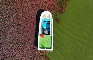 Terkos gölünde masalsı sonbahar manzarası