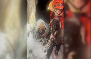 Tipide kocasıyla birlikte kaybolan yaşlı kadın,...