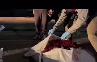 Tır şoförü uyuşturucu maddeyle yakalandı