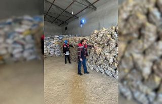Tunus ve Azerbaycan’a yaklaşık 300 ton patates...
