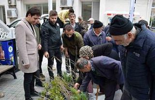 Türkeli’de vatandaşlara ücretsiz fidan dağıtıldı