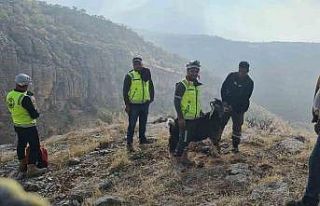Uçurumda mahsur kalan keçiyi ERKUT ekipleri kurtardı