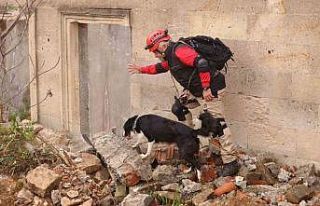 Uluslararası ’Arama Kurtarma Köpekleri Şampiyonası’...