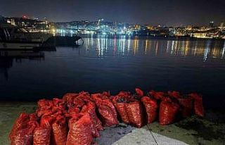 Üsküdar’da 2 ton kaçak midye ele geçirildi