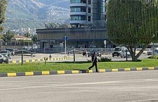 Üzerine basıldığında uyarı veren çimleri test...