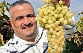 Üzümünü bağında bekletenler daha fazla kazanıyor