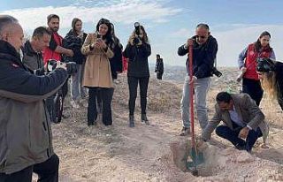 Vali ağaç diken gazetecileri fotoğrafladı