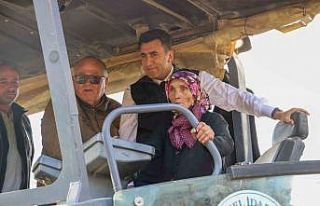 Vali Aygöl, Gülsüm Teyze ile asfalt makinesini...