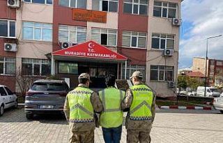 Van’da 4 düzensiz göçmen yakalandı