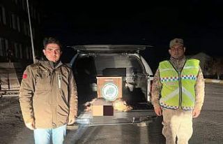 Van’da gece avcılığı yapan bir kişiye 15 bin...