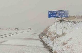 Van’da kar ve yoğun sis yüksek kesimlerde etkili...