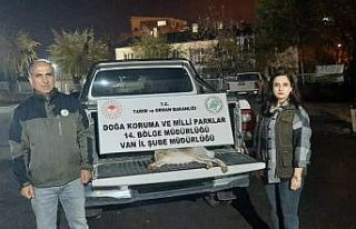 Van’da yasadışı avlanan şahsa 11 bin lira caza
