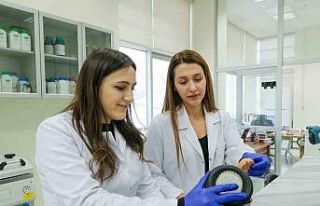 Vazgeçilmez yemeklere bilimsel dokunuş: Patates,...