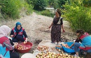 Vefa Sosyal Destek Grubu’ndan 1 ayda 600 faaliyet