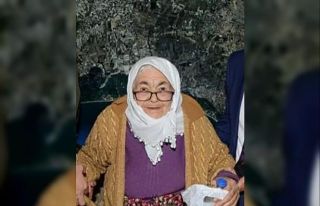 Yaşlılık maaşını biriktirip ‘Zeytin Dalı...