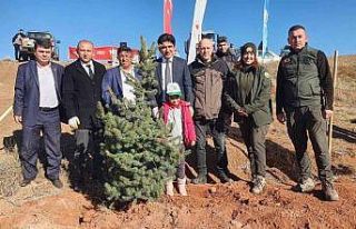 Yerköy’de minik ellerden büyük gelecek