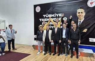 Yıldıran tekmeden bir altın bir bronz madalya