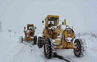 Yoğun kar yağışı ve tipi nedeniyle Çiftlik -...