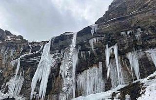 Yüksekova’nın Orşe Vadisindeki şelalesi dondu:...
