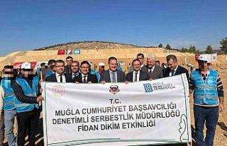 Yükümlüler 250 fidanla ‘Yeşil Vatana’ katkı...