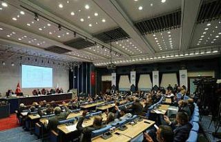 Yüzde 50 hibeli damızlık erkek manda dağıtılacak