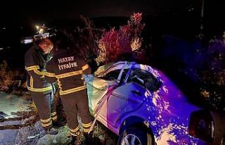 Zeytin bahçesine devrilen aracın sürücüsü yaralandı