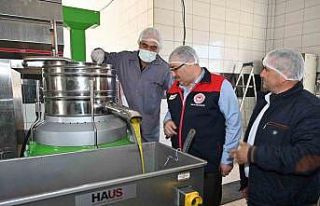 Zeytinyağı üretim ve satış yerlerinde denetimler...