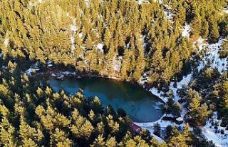 Zigana’nın beyaz cenneti Limni Gölü 150 bin turisti...