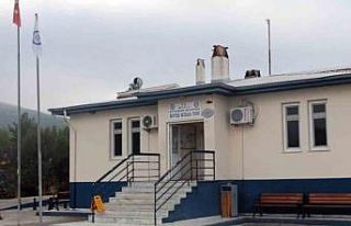 10 yılda 253 bin 359 hayvan kesildi