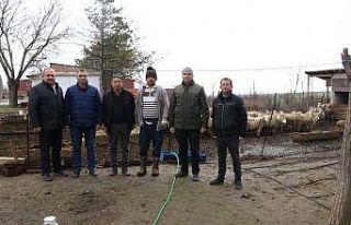 37 küçükbaşla işe başladı, işinin patronu...