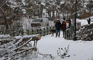 Abant beyaz gelinliği giydi: Tatilciler karın keyfini...