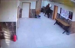 Ağabeyi 2 öğretmeni dövdü, kadın öğretmen...