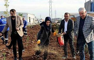 Akdeniz ilçesi yeni bir yeşil alan kazanıyor