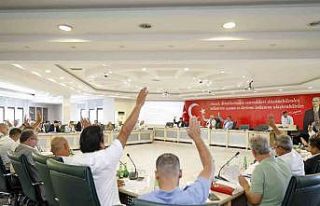 Alanya’da iş yeri ruhsat kolaylığı için başvuru...