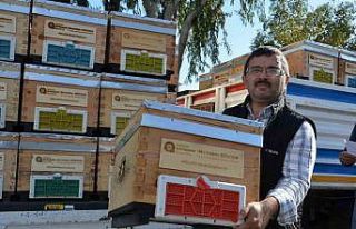 Alanyalı bal üreticilerine arı kovanı hibe edildi