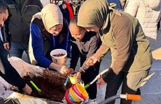 Anamur’da ceviz tohumları toprakla buluşturuldu