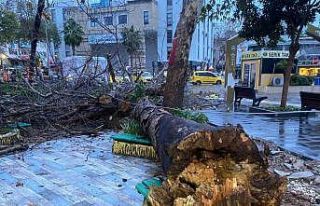 Antalya’da aşırı yağış ve fırtına asırlık...